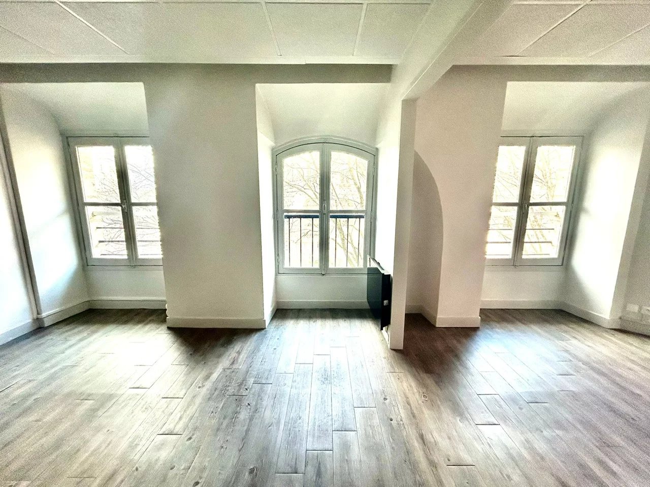 picture 86676253 1 (1)